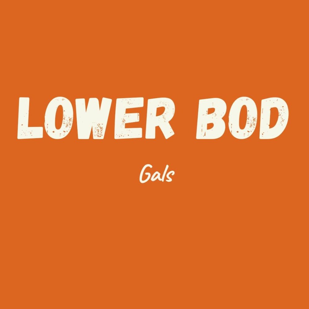 Trousers, Slacks, Skirts, Shorts, Leggings, ANY THING FOR THE LOWER LADY PARTS.